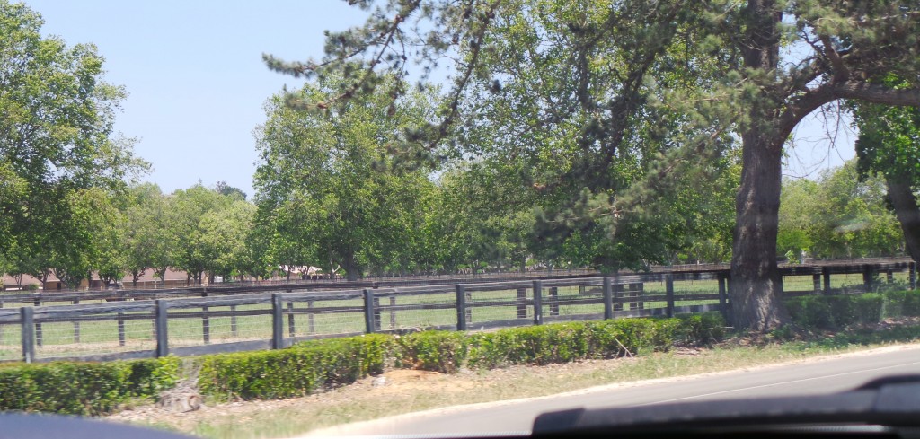 Beautiful Farms Outside Buellton