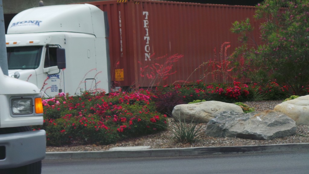 Chino Hills Highway Flowers