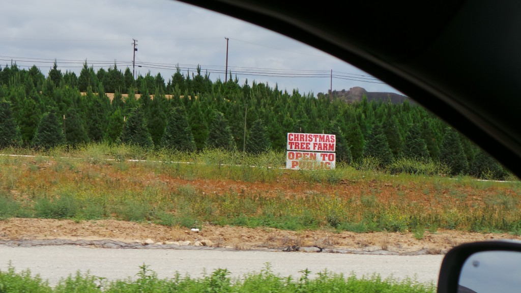 Christmas Tree Farm Near Yorba Linda