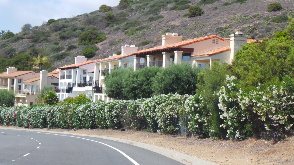 Condos Facing the Ocean