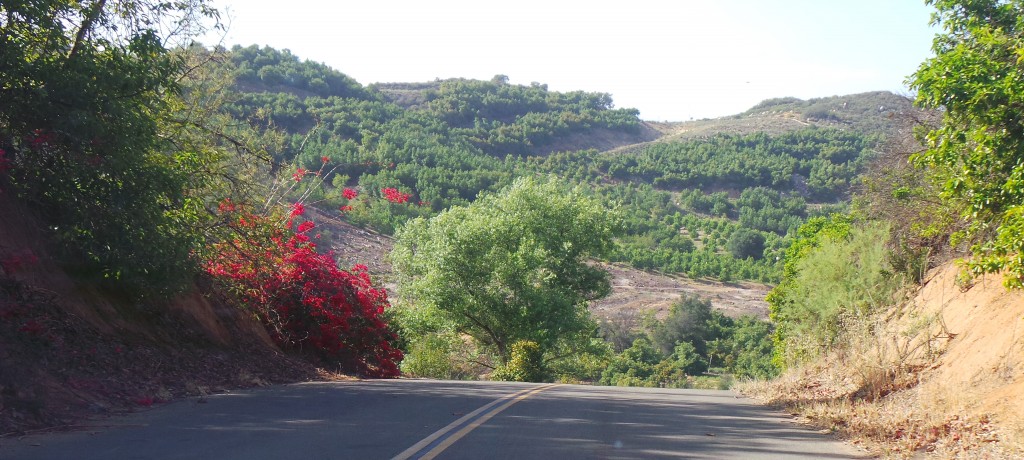 Driving in Temecula as Sun Begins to Set