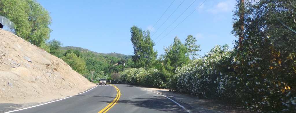 Flowering Bushes Temecula California