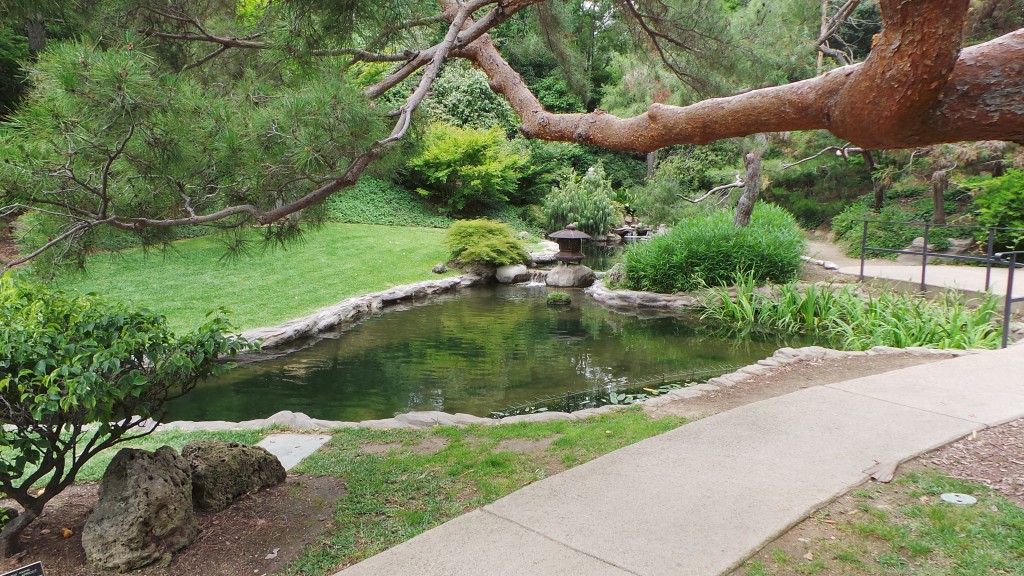 Gentle Falls in the Japanese Garden Pasadena Huntington