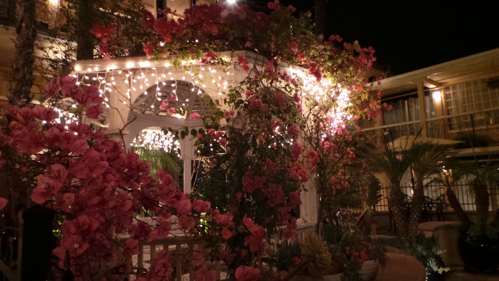 Holiday Inn Laguna Beach at Night Flowers