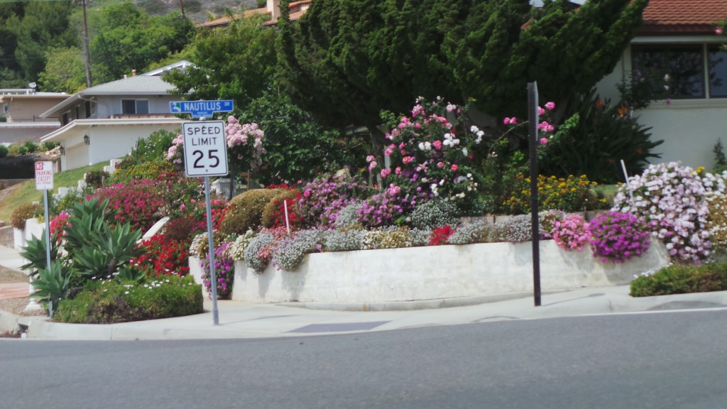 More Flowers Street Sign California