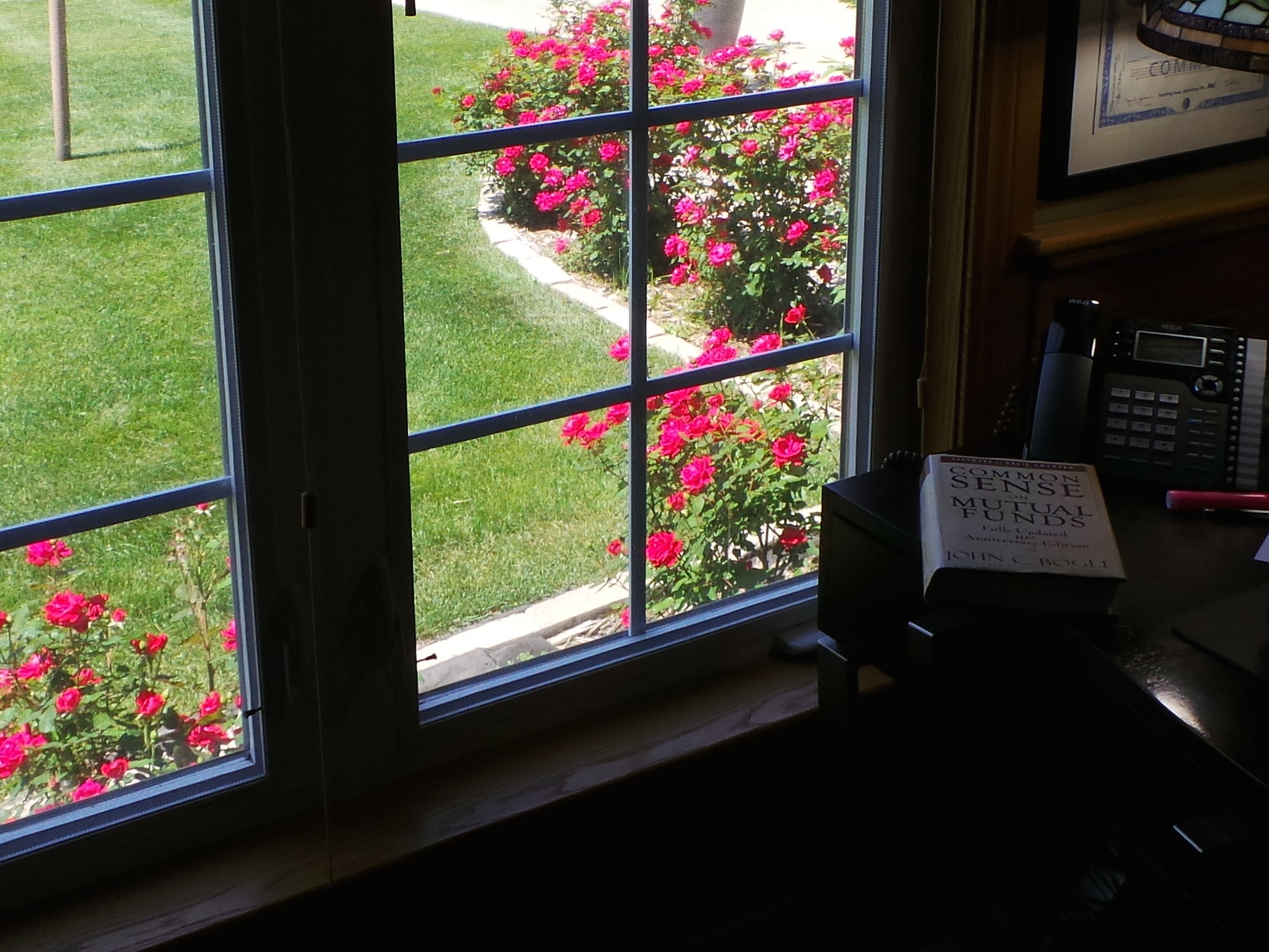 Roses Outside Study Window Joshua Kennon Year Two Roses Outside Study Window Joshua Kennon Year Two
