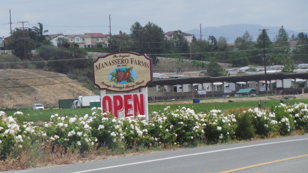 Strawberry Farms Near Yorba Linda