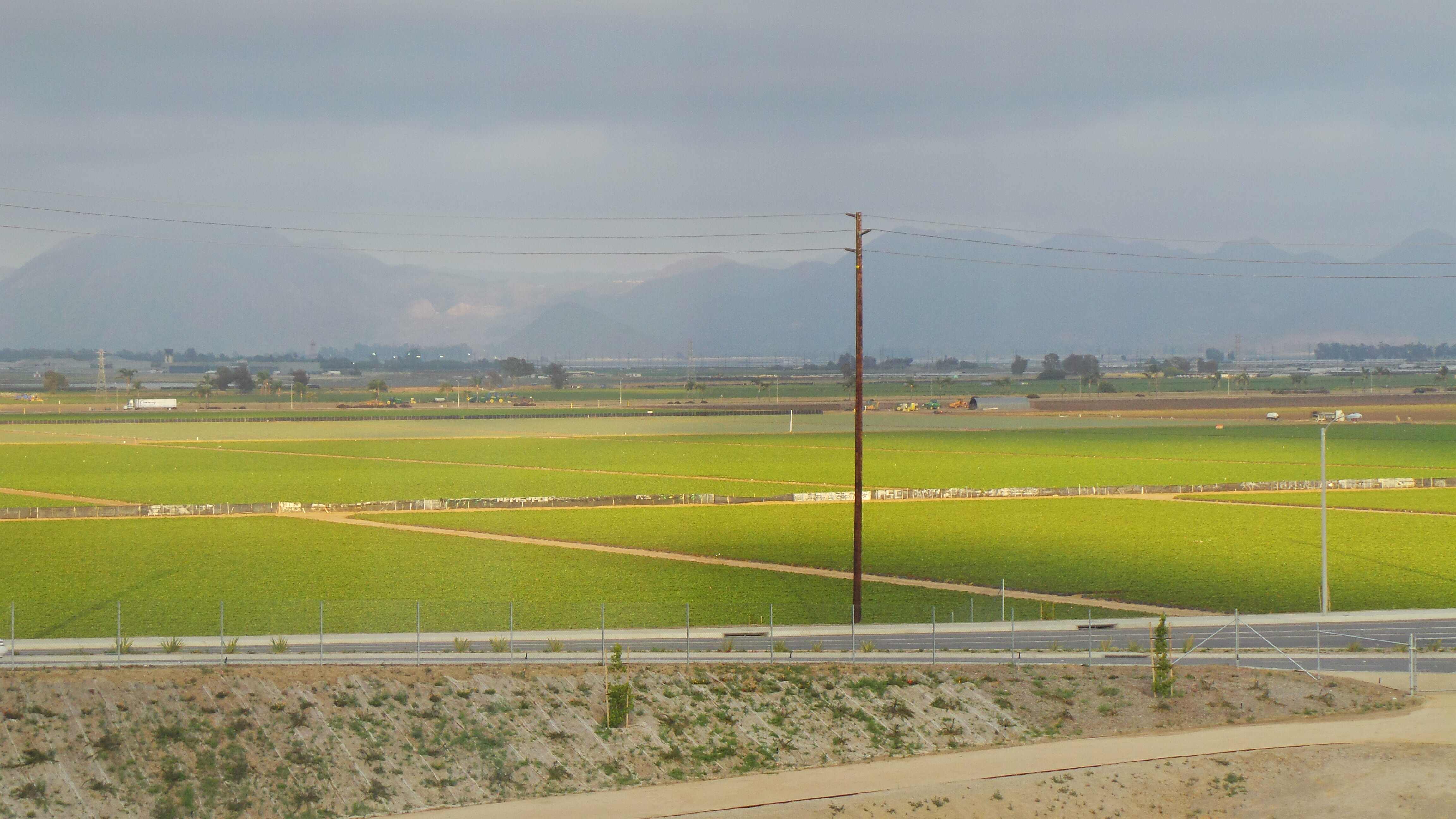 Strawberry Fields in Oxnard California from Hilton Garden Inn Window