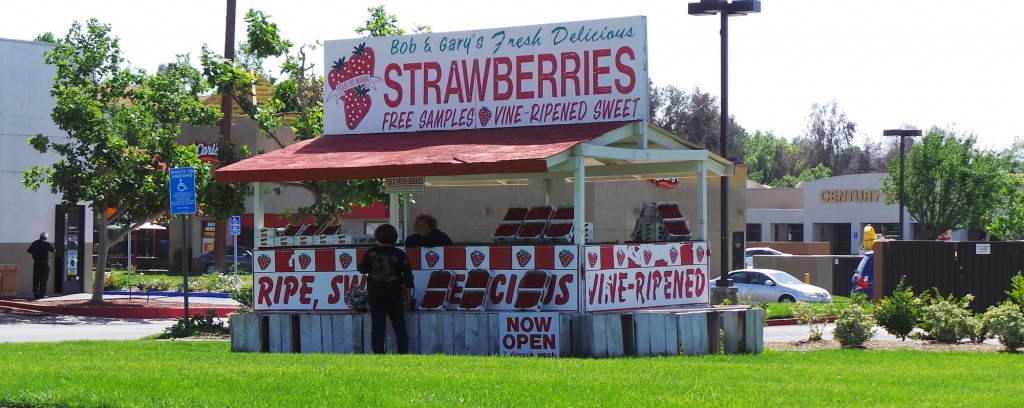 Temecula Strawberry Stand