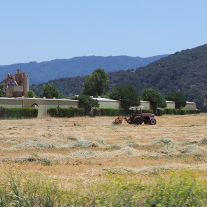 Tractor California Tractor California