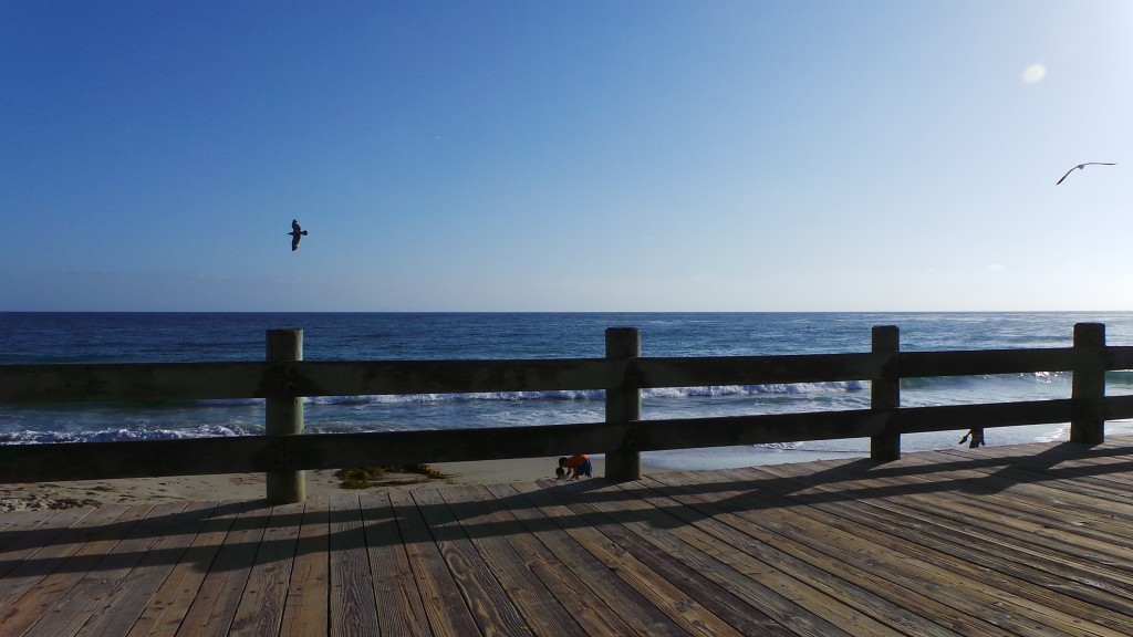 View of Ocean from Benches Laguna Beach California
