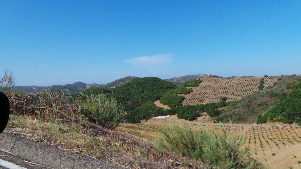 Agriculture in Temecula