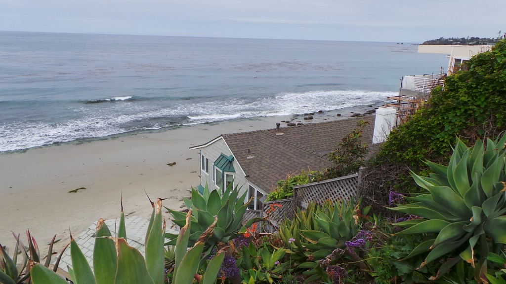 Walking Down to Beach with Coffee Before Getting In Car at Laguna Beach