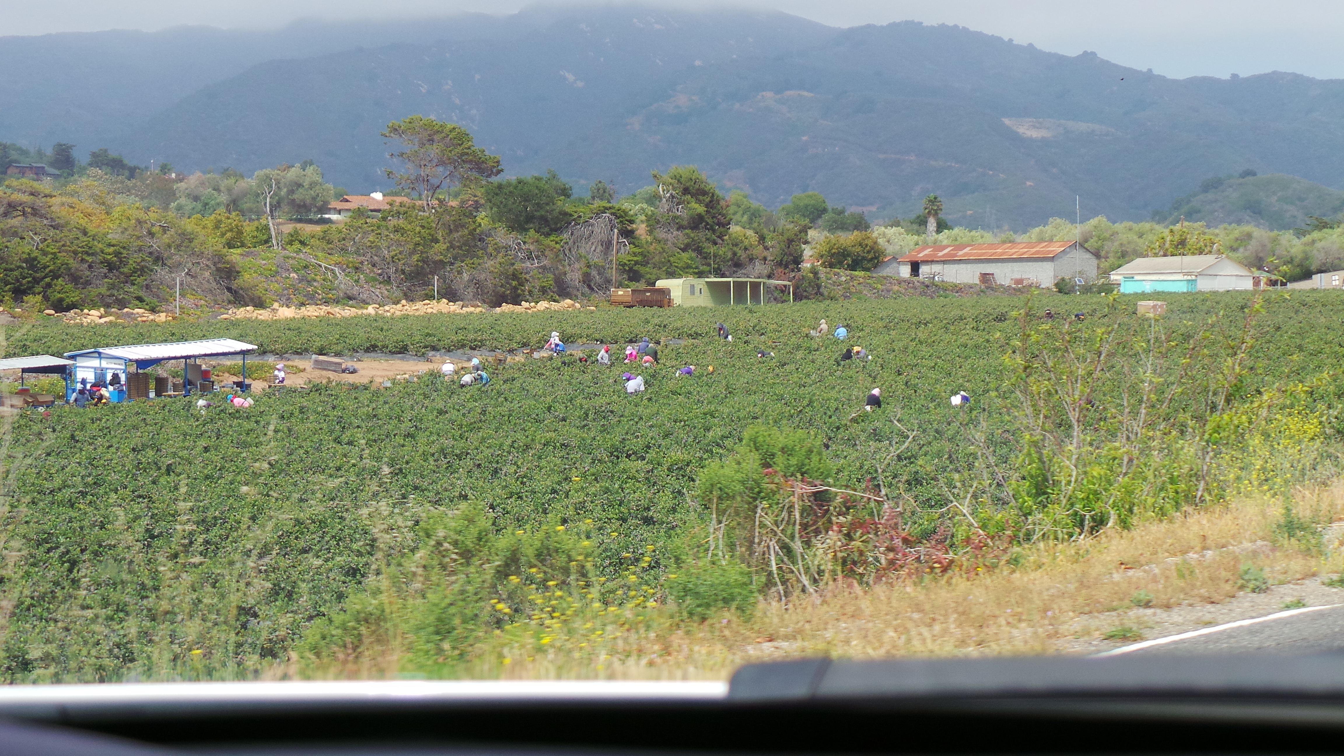 Working the Fields Santa Barbara