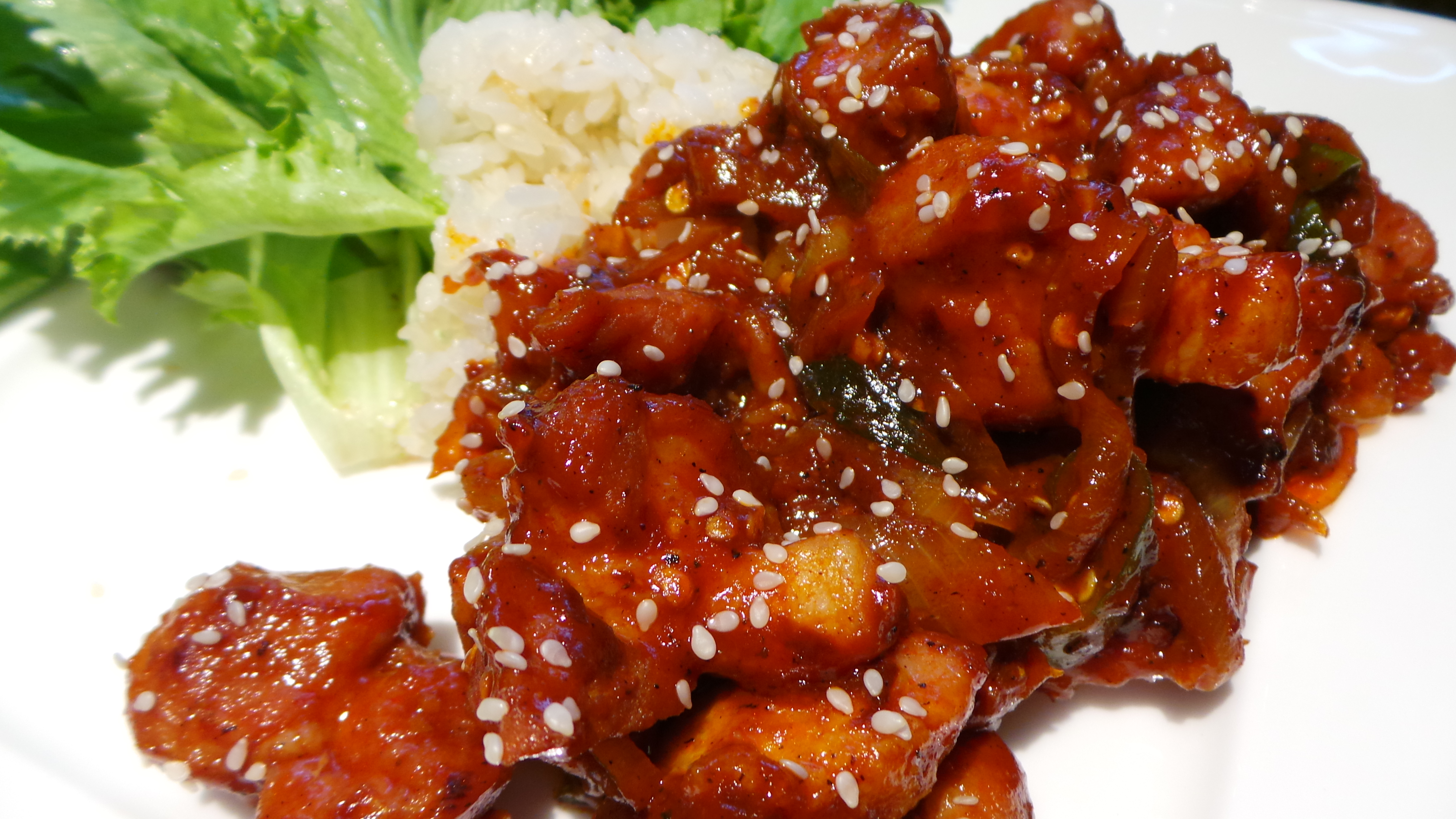 Closeup of Korean Spicy Pork Stir Fry Joshua Kennon