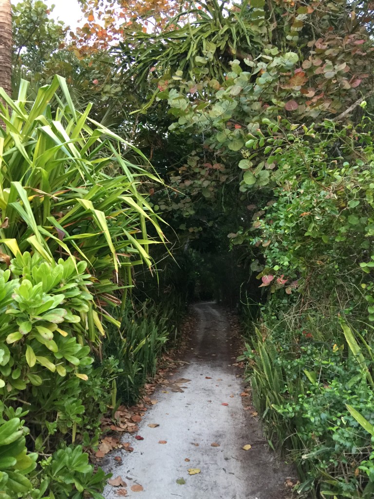 Beach Access Otter Banks Captiva
