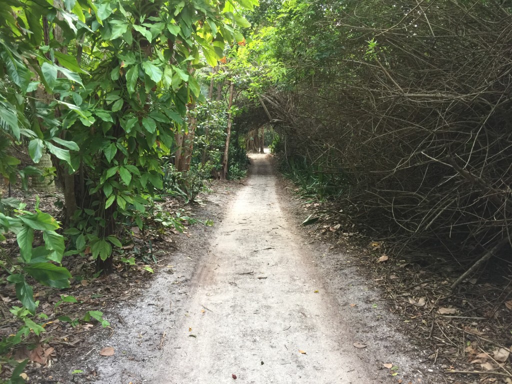 Captiva Island Private Beach Access