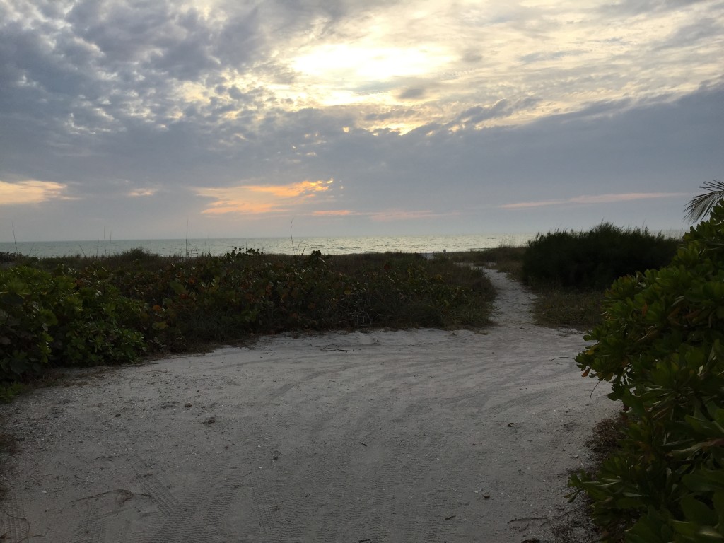 Emerging Onto Beach Captiva