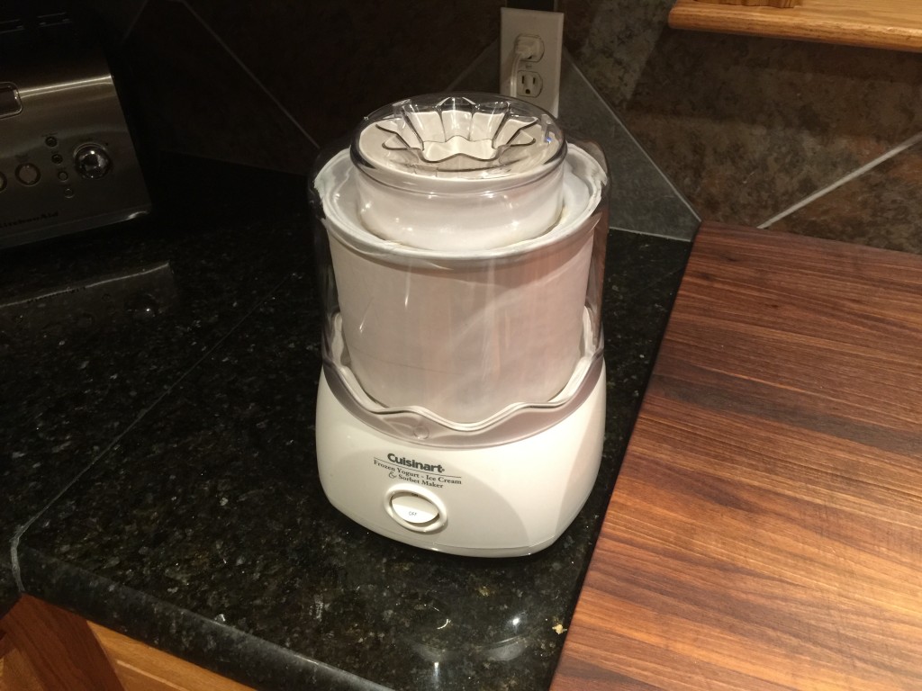 Homemade Rum Raisin Ice Cream