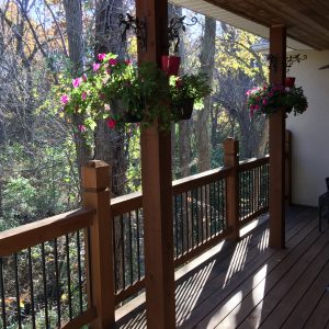 Stepping Outside Autumn 2016