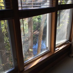 View from Bedroom Windows August 2016