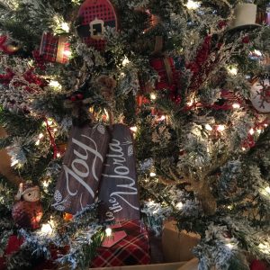 Josh and Aaron Joy to the World Christmas 2016 Josh and Aaron Joy to the World Christmas 2016