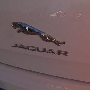 Joshua and Aaron Jaguar XJL AWD Portfolio Edition 12 Joshua and Aaron Jaguar XJL AWD Portfolio Edition 12