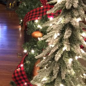 Welcome Christmas Josh and Aaron Welcome Christmas Josh and Aaron