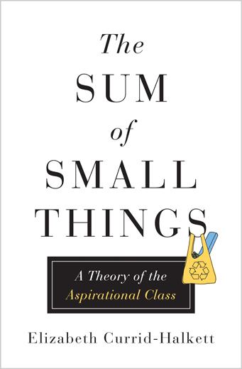 The Sum of Small Things A Theory of the Aspirational Class by Elizabeth Currid-Halkett