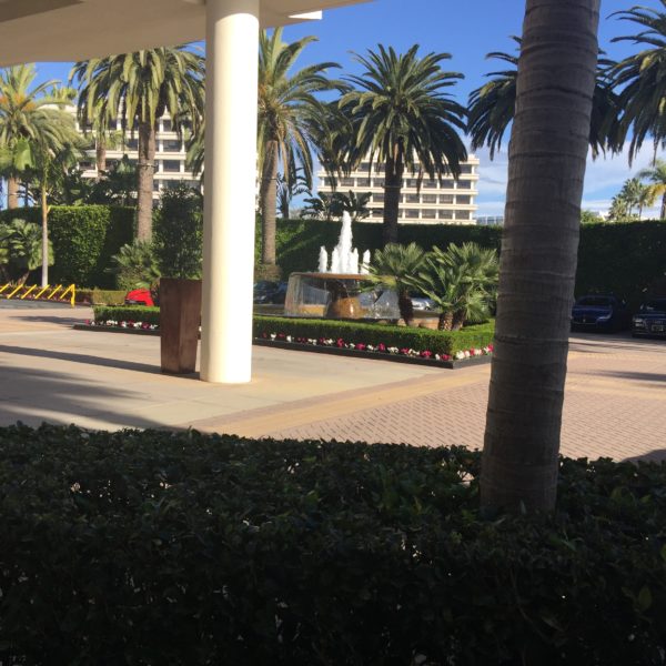 It's Going To Be a Great Day