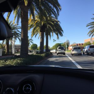 Leaving the Grocery Store