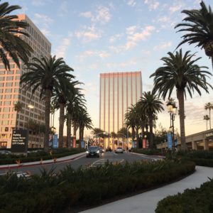 More Office Buildings in Office Buildings in Newport Center