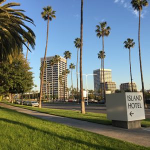 Office Buildings in Newport Center