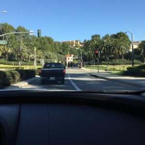 The Neighborhoods Along Newport Coast Drive