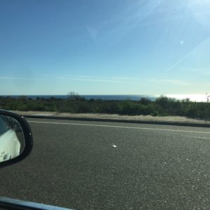 This Is Almost Unreal