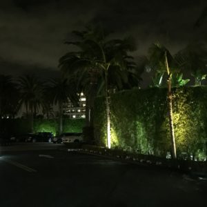 Walking to Fashion Island in Newport Beach California