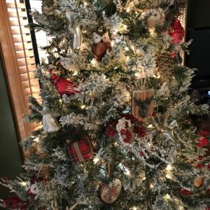 Joshua Kennon and Aaron Green Family Christmas Tree Closeup 1 Joshua Kennon and Aaron Green Family Christmas Tree Closeup 1