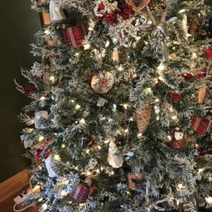 Joshua Kennon and Aaron Green Family Christmas Tree Closeup 3 Joshua Kennon and Aaron Green Family Christmas Tree Closeup 3