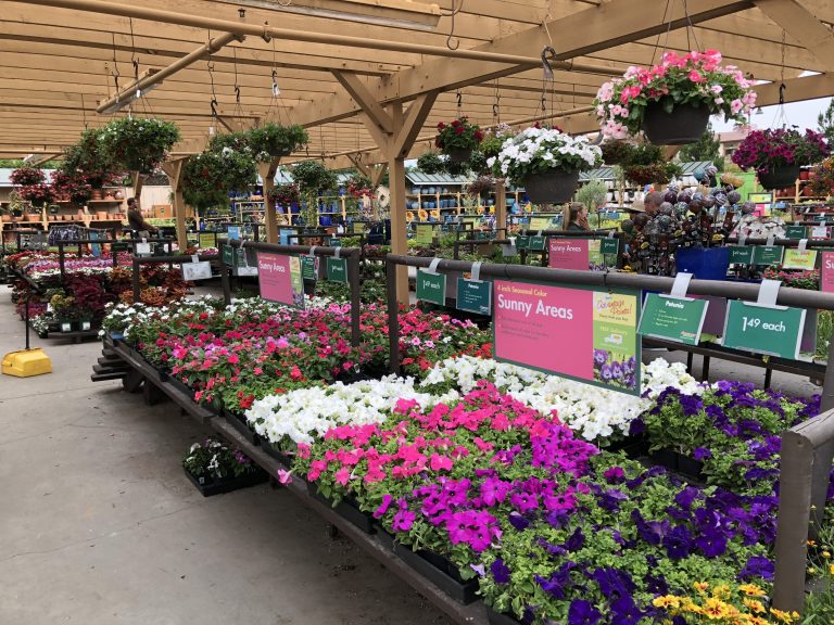 Visiting Armstrong's Garden Center in Newport Beach