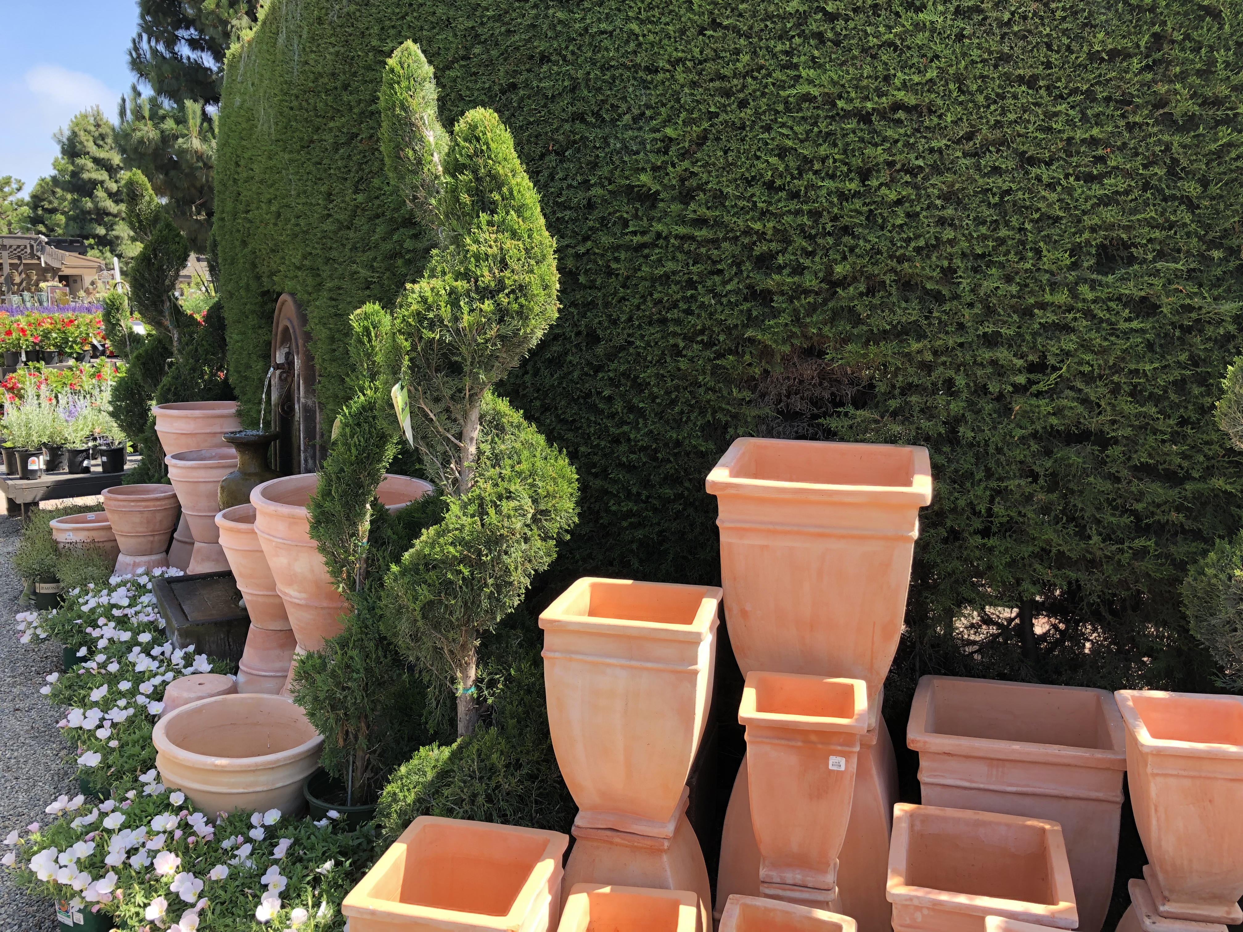 Roger's Gardens Newport Beach - Pots and Topiary
