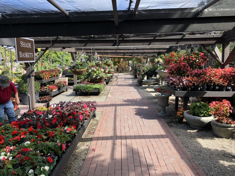 Roger's Gardens in Corona del Mar Is One of My Favorite Places