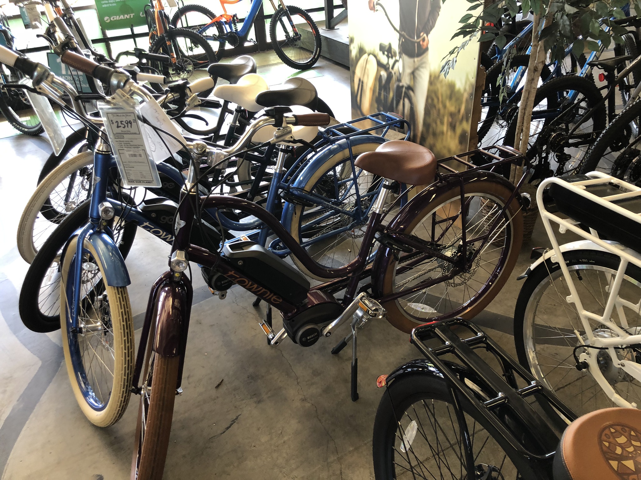 Bicycle Store in Costa Mesa California 2