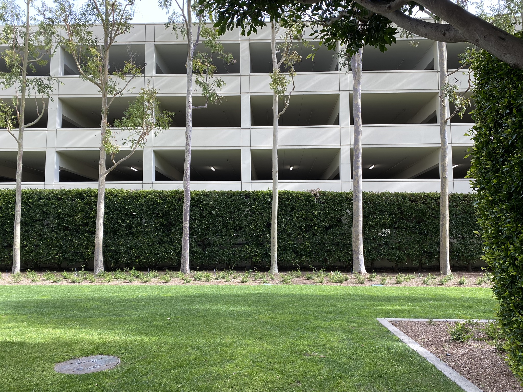 Even the Parking Garages are Beautiful