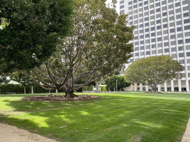 More of the Areas Surrounding Our New Offices More of the Areas Surrounding Our New Offices